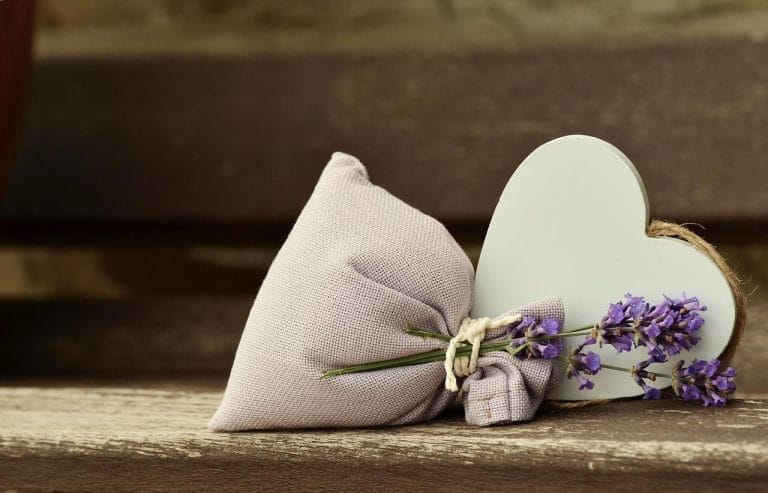 Bedrijven in Deventer Ontspannende wellness in Deventer met rustige sauna en spa faciliteiten voor lichaam en geest